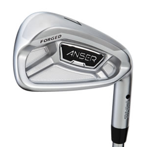 cavity view of Anser Forged iron