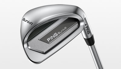 Cavity view of BunkR wedge