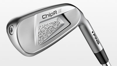 Cavity view of ChipR LE