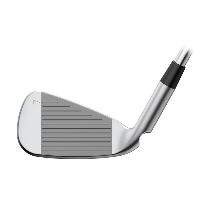 thumbnail of face view of G440 iron
