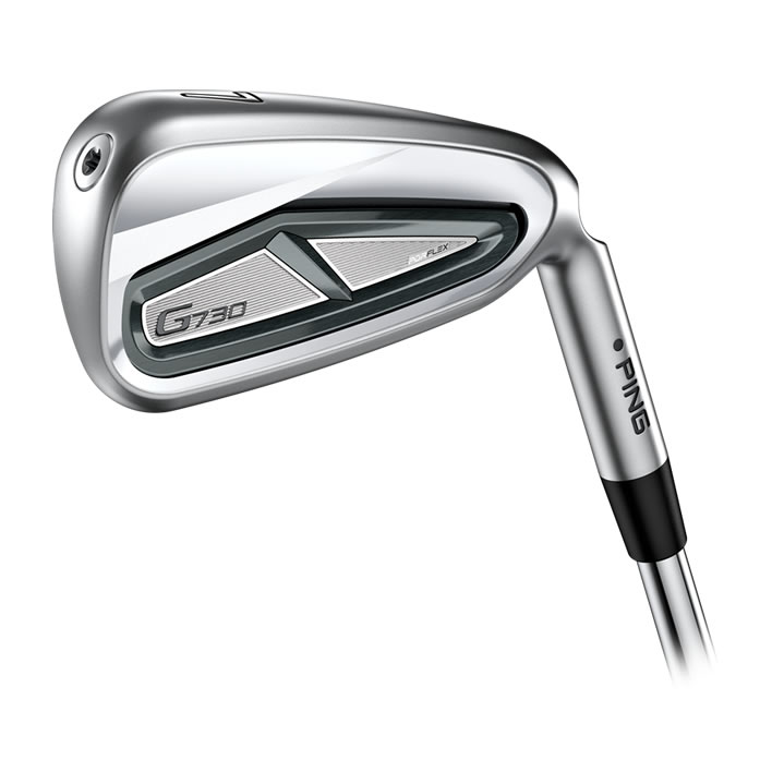 thumbnail of Cavity view of G730 iron