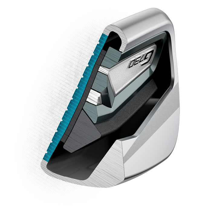 thumbnail of Cross-section illustration of G730 iron