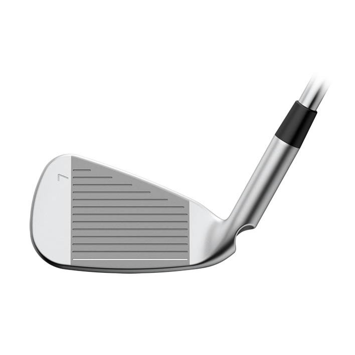 thumbnail of Face view of G730 iron