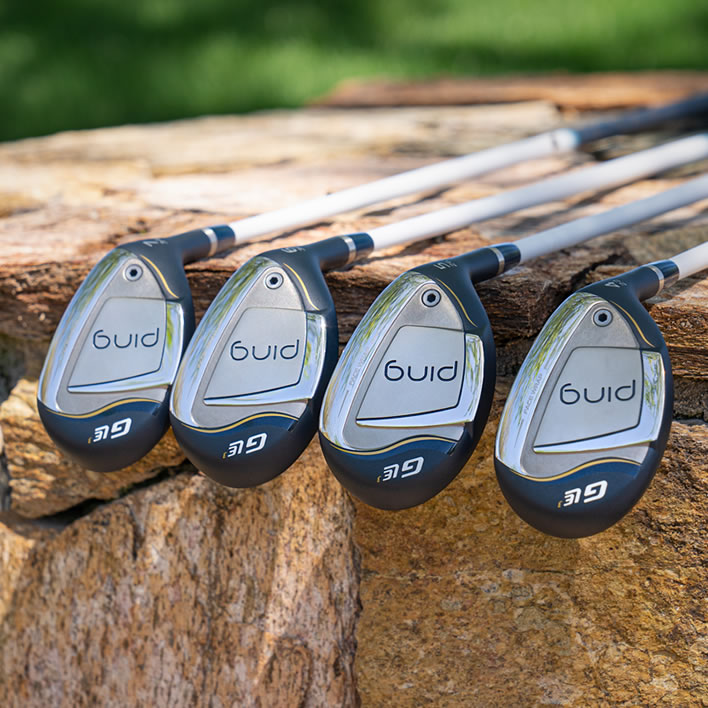 thumbnail of G Le3 hybrids on stone wall