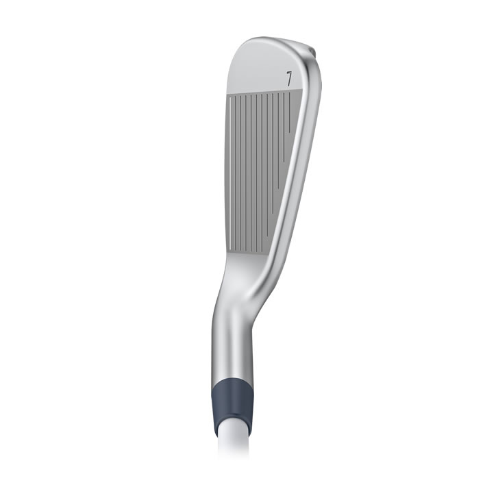 thumbnail of Address view of G Le3 Iron