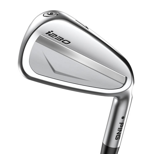 cavity view of i230 iron