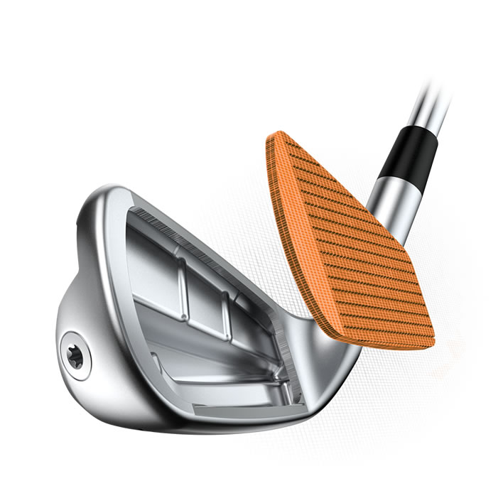 thumbnail of Exploded face view of i530 iron