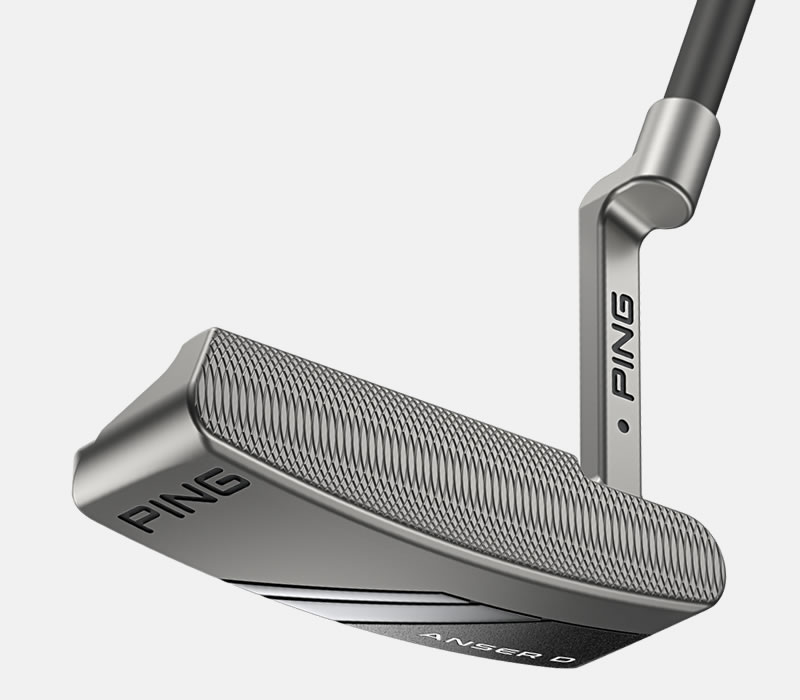 Face view of 2024 Anser D putter