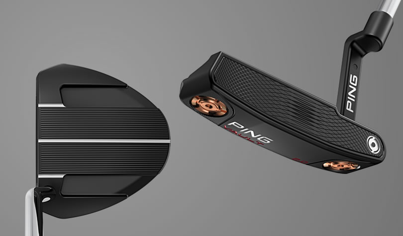 Vault 2.0 Ketsch address view and Dale Anser face view